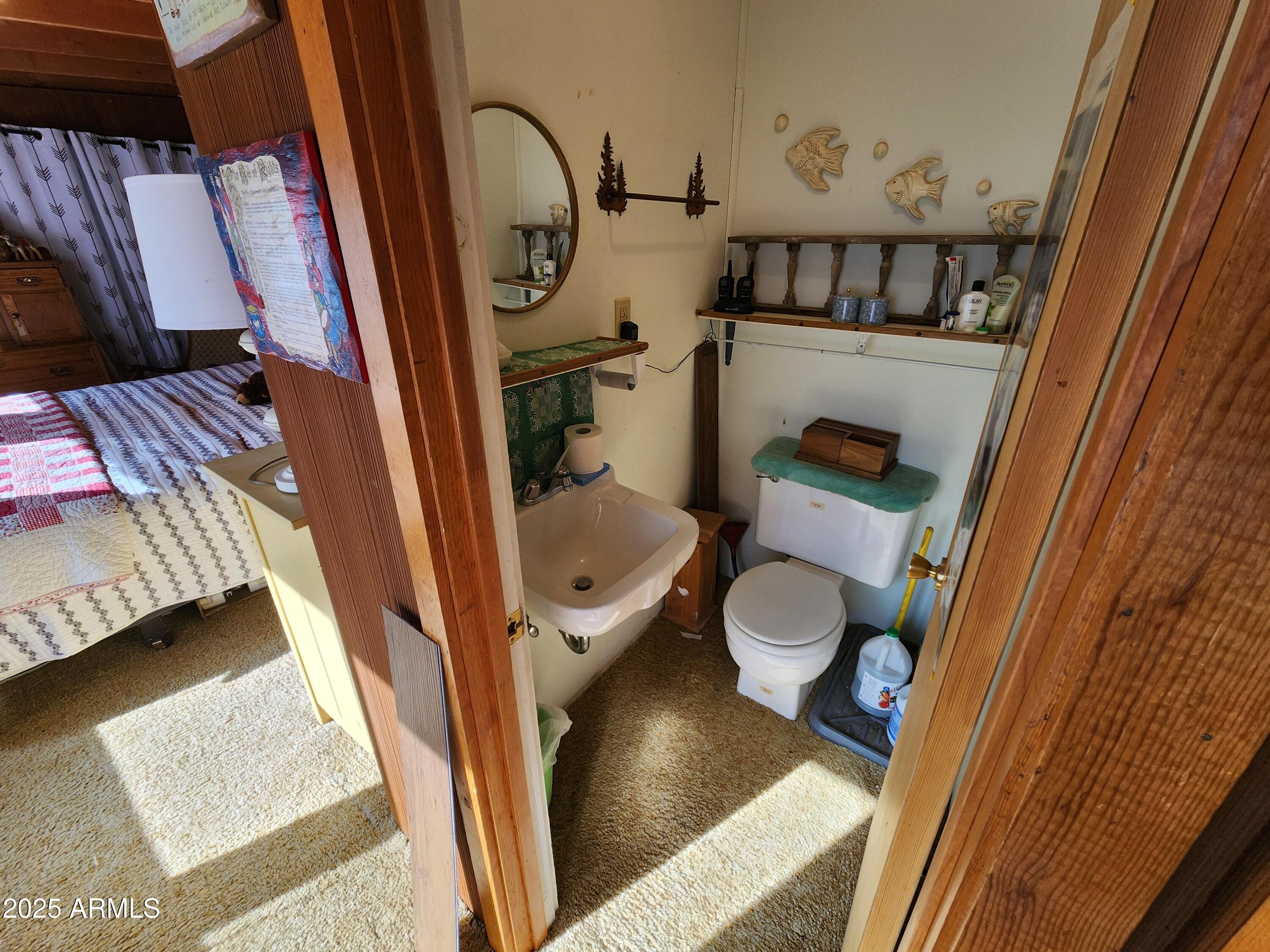 247 West Diamond Road Payson, AZ 85541 - Photo 33 of 42 a bathroom with a toilet and a shower