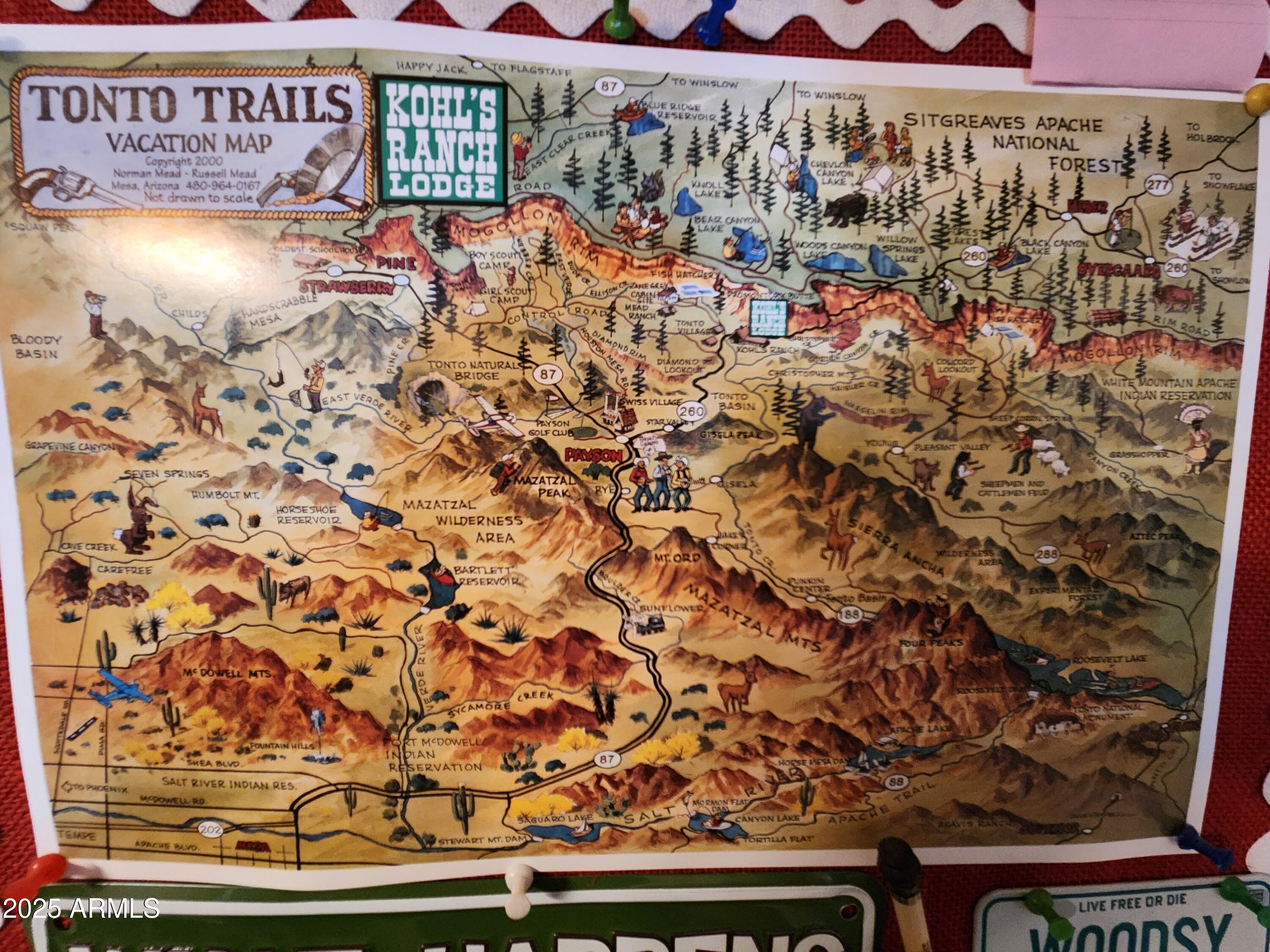 247 West Diamond Road Payson, AZ 85541 - Photo 9 of 42