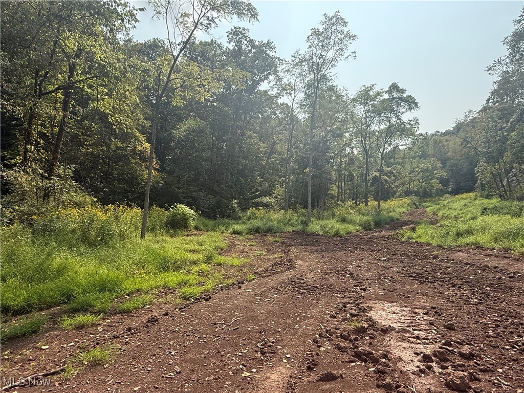 0 Buck Run Road Pennsboro, WV 26415 - Photo 3 of 4