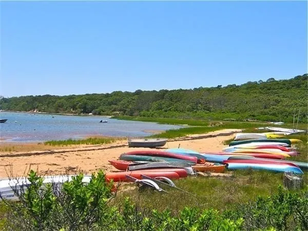 a view of a lake with a yard and mountain in the back