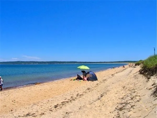 a view of a lake with a city
