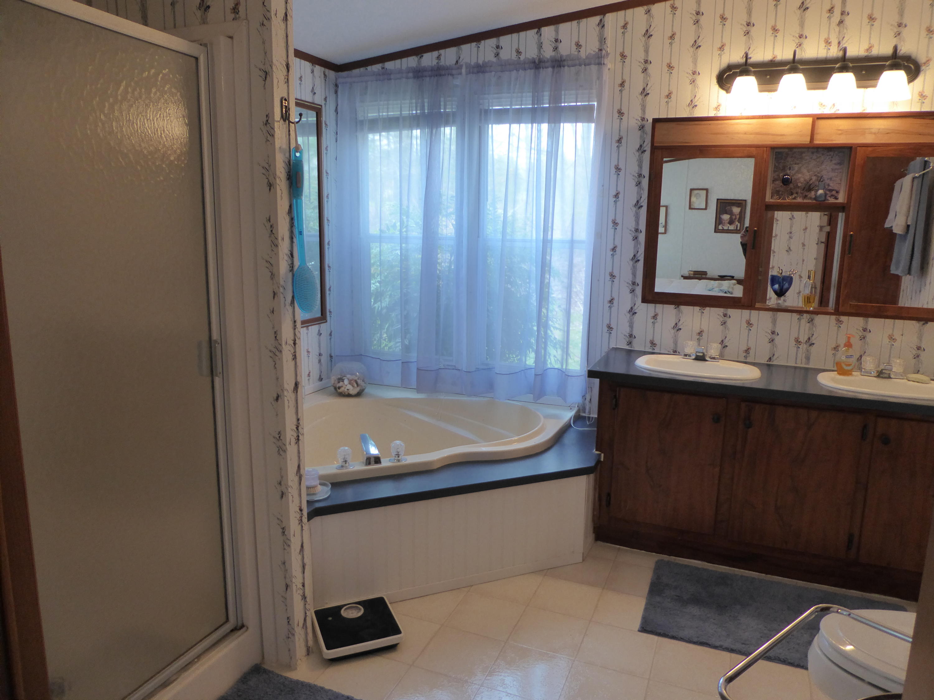 5340 Alean Road Boones Mill, VA 24065 - Photo 7 of 38 17 Master Bathroom