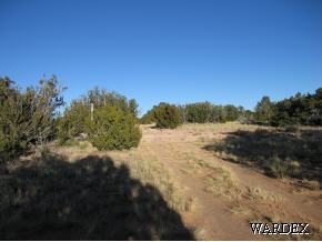 384 El Punta Seligman, AZ 86337 - Photo 2 of 3 a view of a yard with trees and a yard