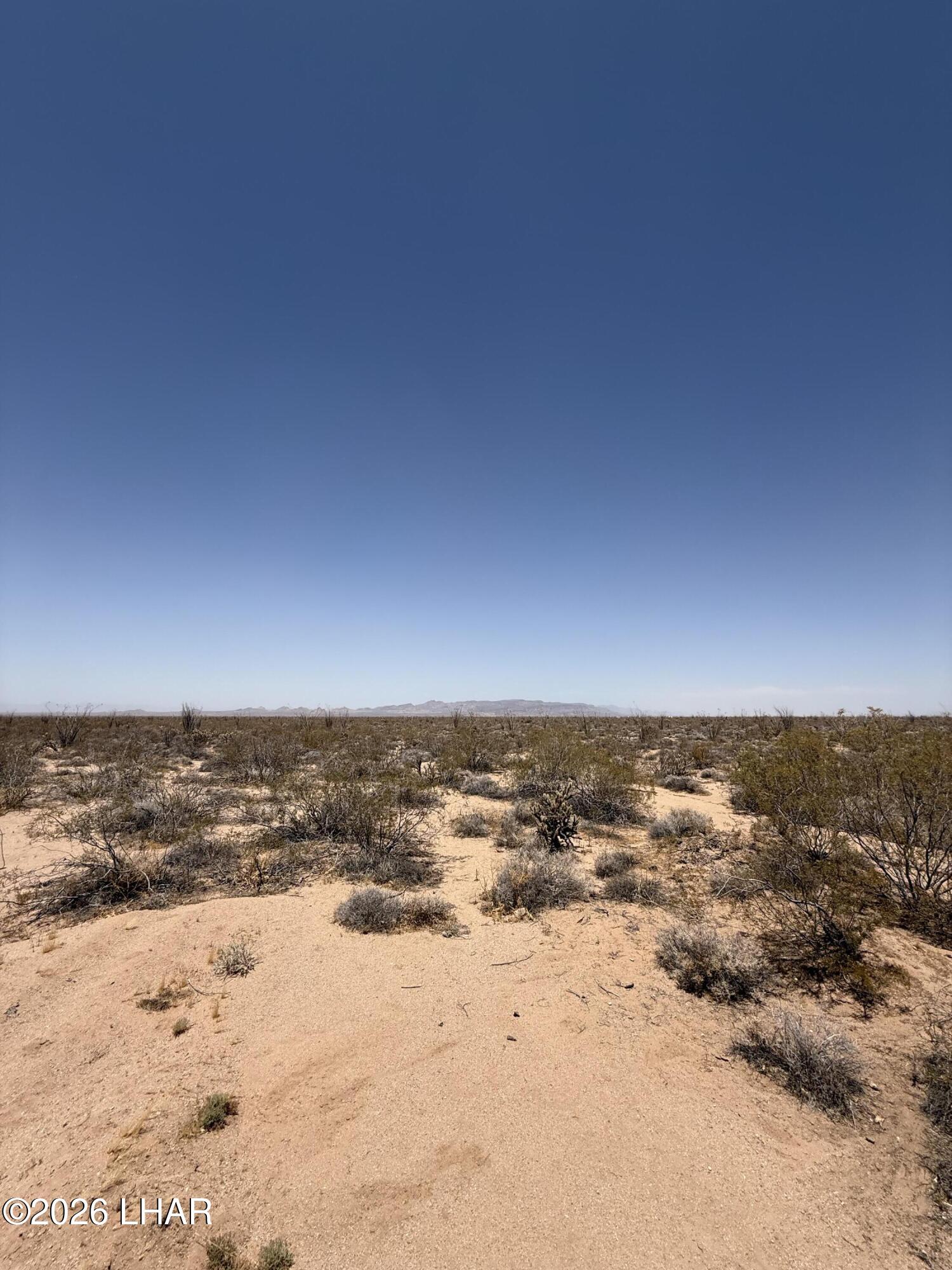 0 South Doc Holliday Road Yucca, AZ 86438 - Photo 2 of 9