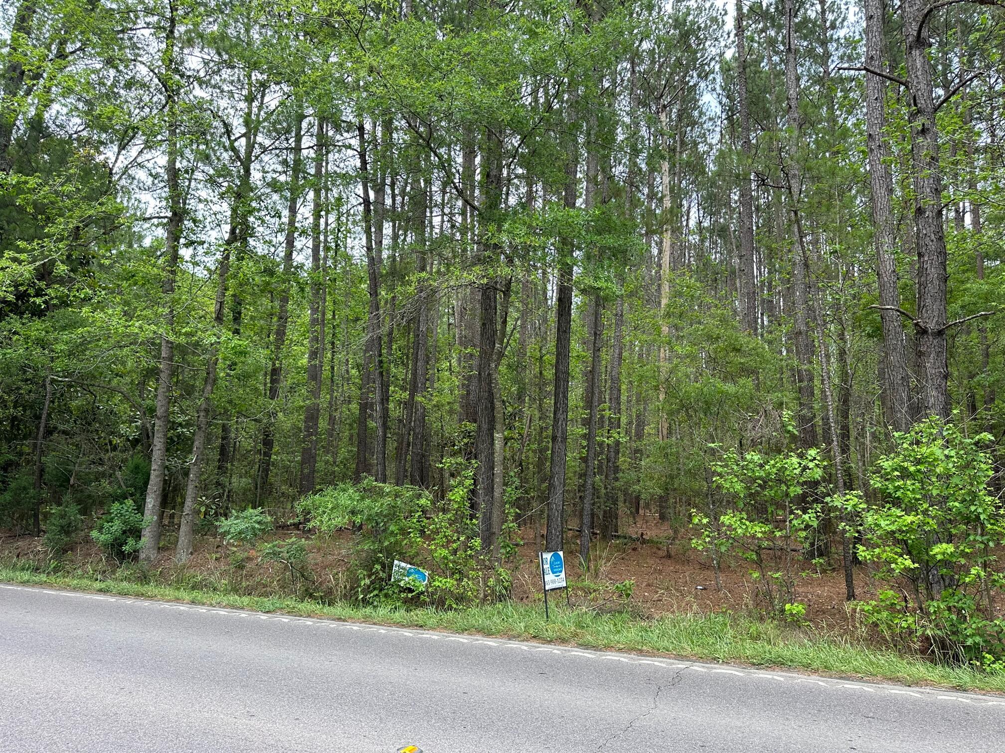 4 Mallard Road Summerville, SC 29483 - Photo 2 of 3 IMG_0751