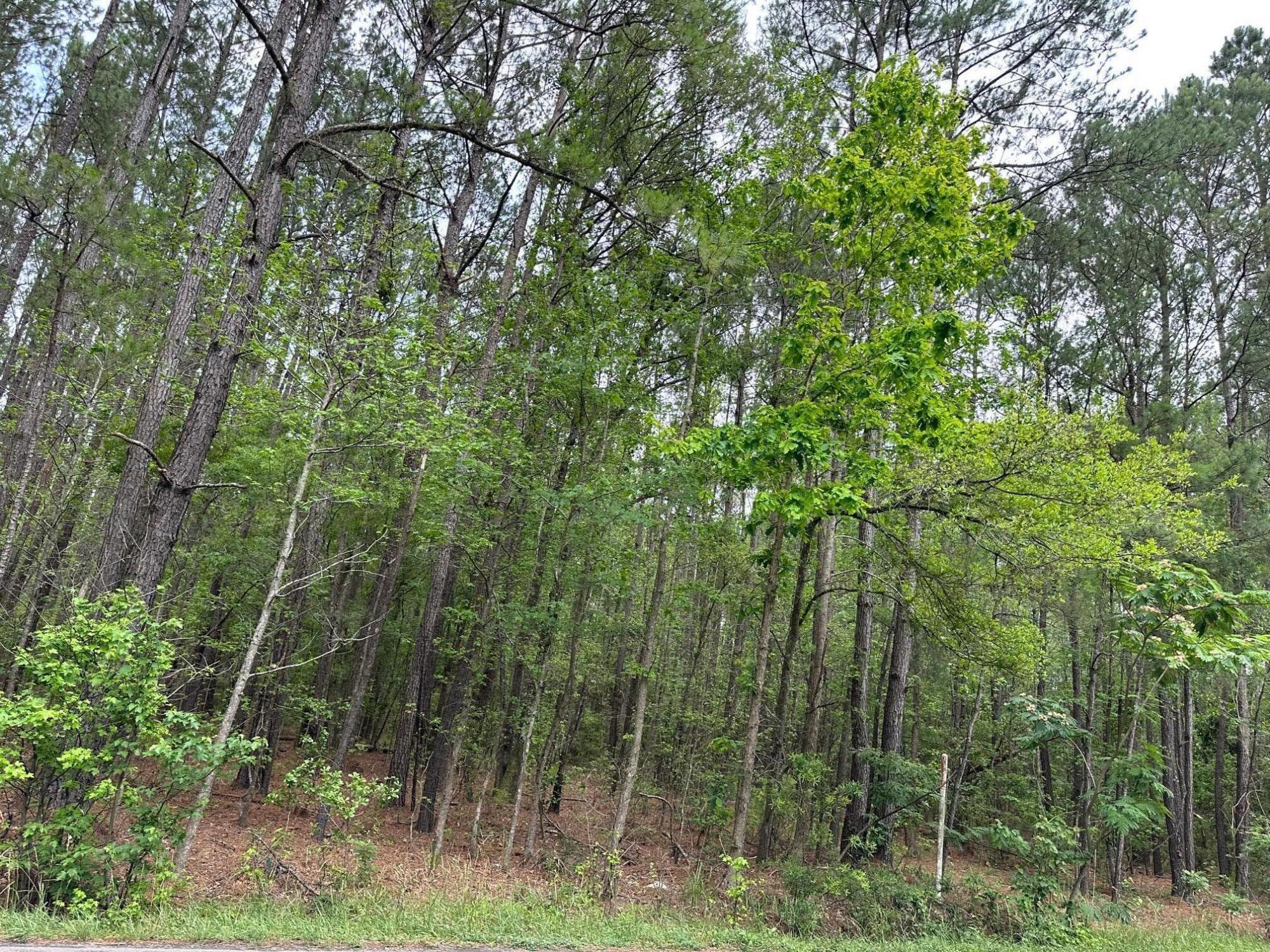 4 Mallard Road Summerville, SC 29483 - Photo 3 of 3 IMG_0753