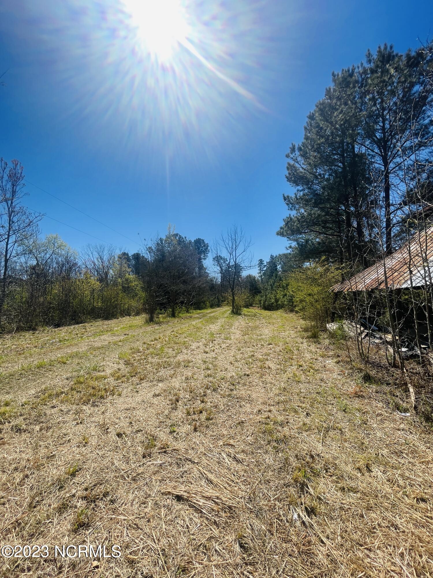 6185 Rough And Ready Road Chadbourn, NC 28431 - Photo 23 of 78 Drive way view from roadway.