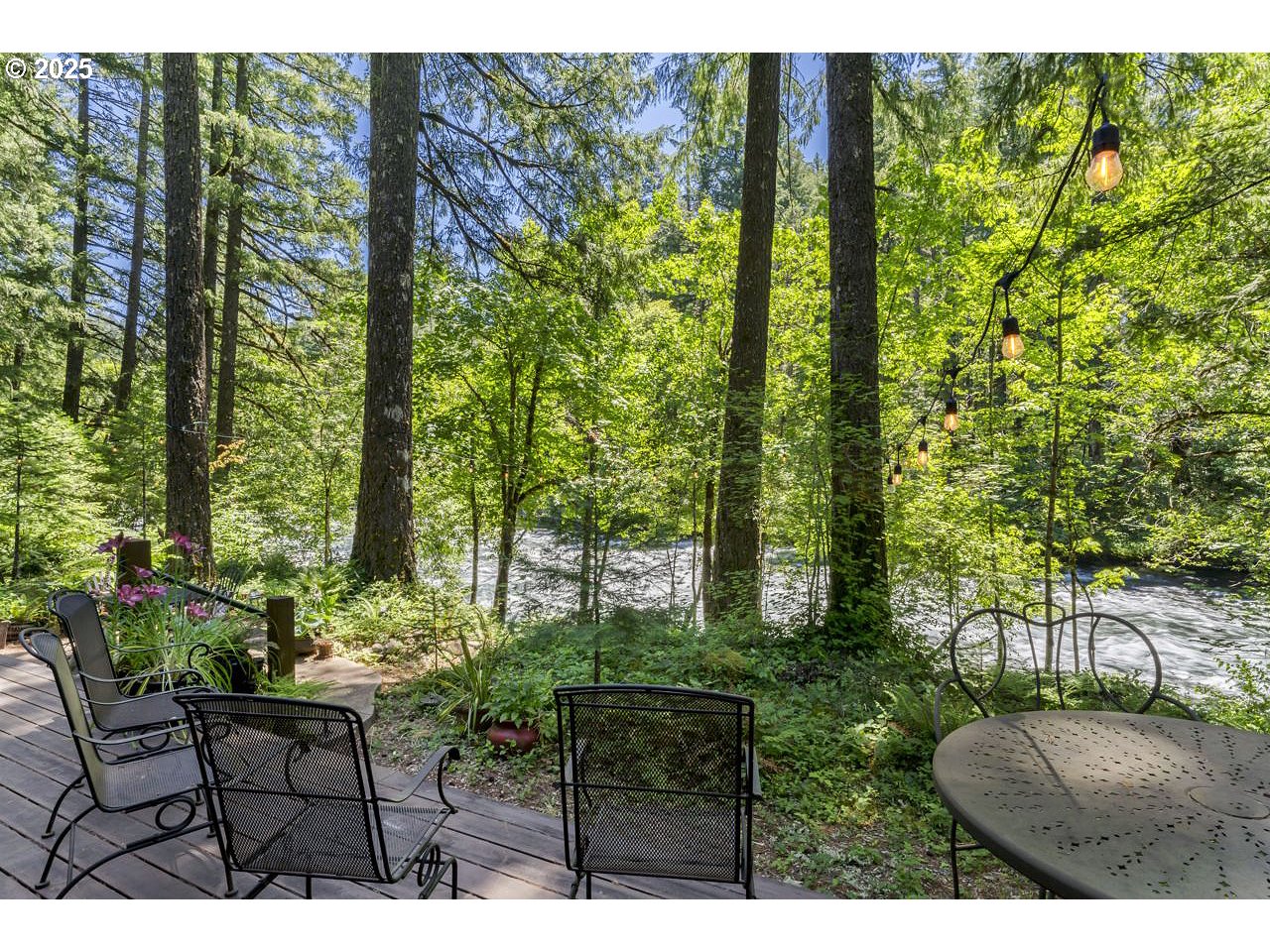 55590 McKenzie River Drive Blue River, OR 97413 - Photo 17 of 45 a view of backyard with a garden and trees