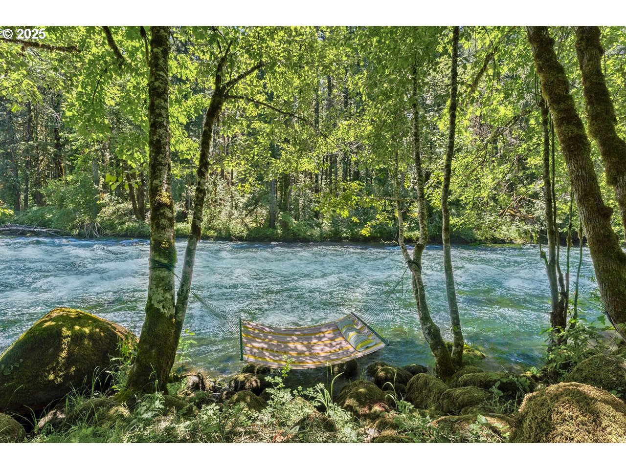 55590 McKenzie River Drive Blue River, OR 97413 - Photo 21 of 45 a view of a yard