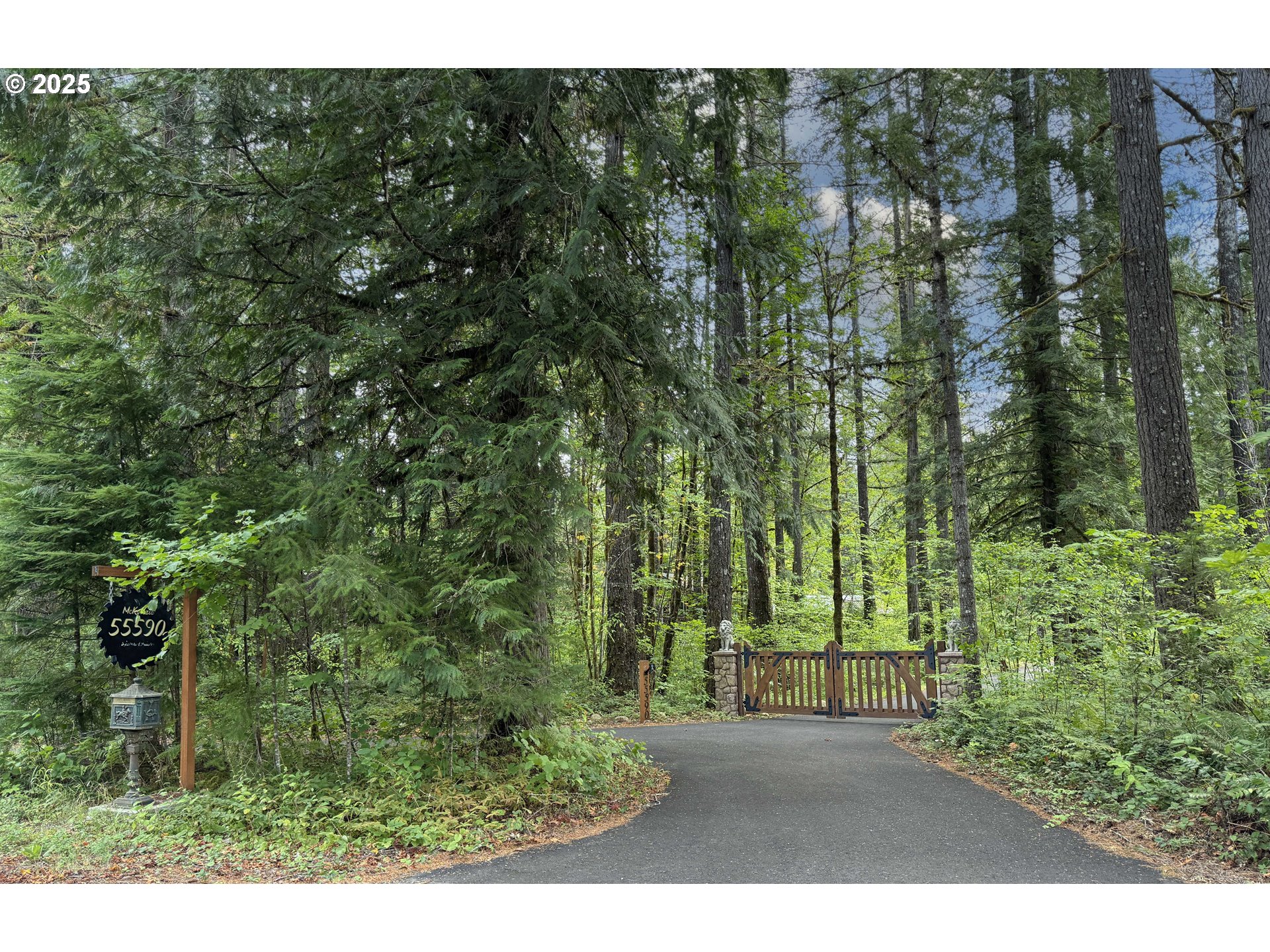55590 McKenzie River Drive Blue River, OR 97413 - Photo 3 of 45 a view of a garden with trees