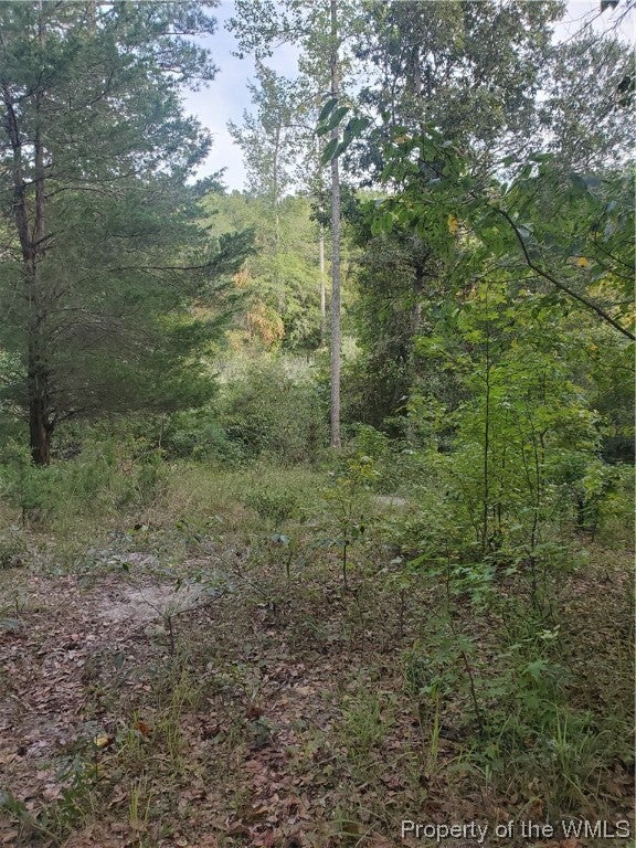 0 Wilkes Road Lanexa, VA 23089 - Photo 19 of 24 Gallery Image 19