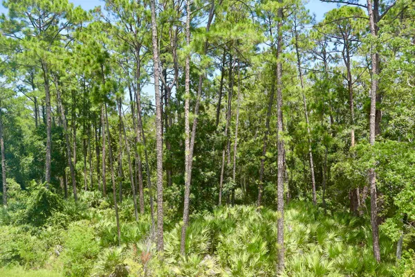 $409,000 | 96 Silver Birch St Street, St. Augustine, FL 32084