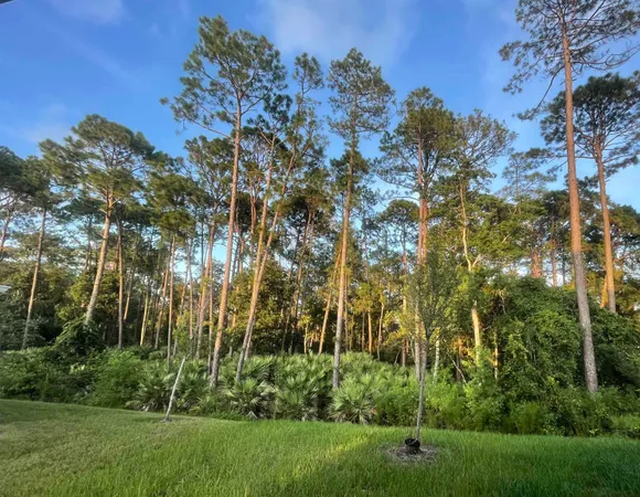 $409,000 | 96 Silver Birch St Street, St. Augustine, FL 32084