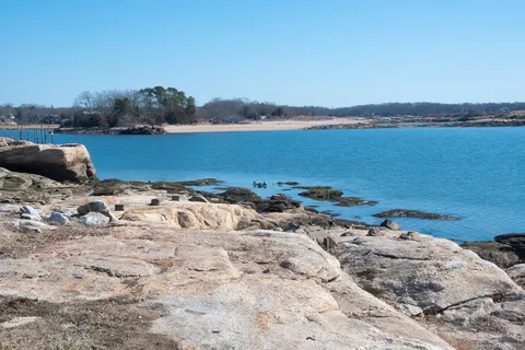 a view of a lake with a city view