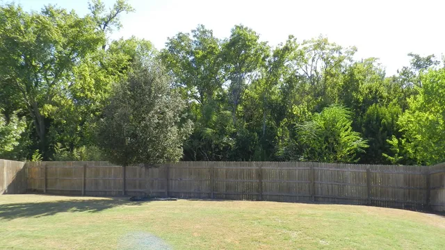 a view of a backyard