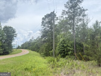 50 Harvest Road Coleman, GA 39836 - Photo 15 of 37 a view of a trees in a yard