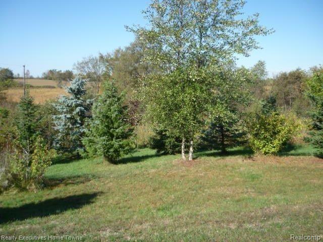7451 Center Road Mayville, MI 48744 - Photo 4 of 18 P1060610