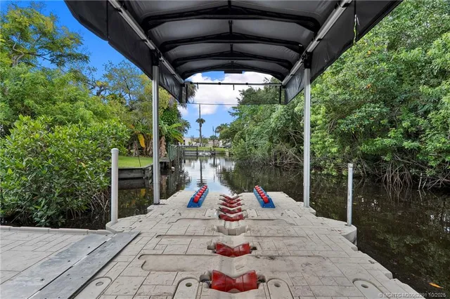 a close up of a tree in a garden