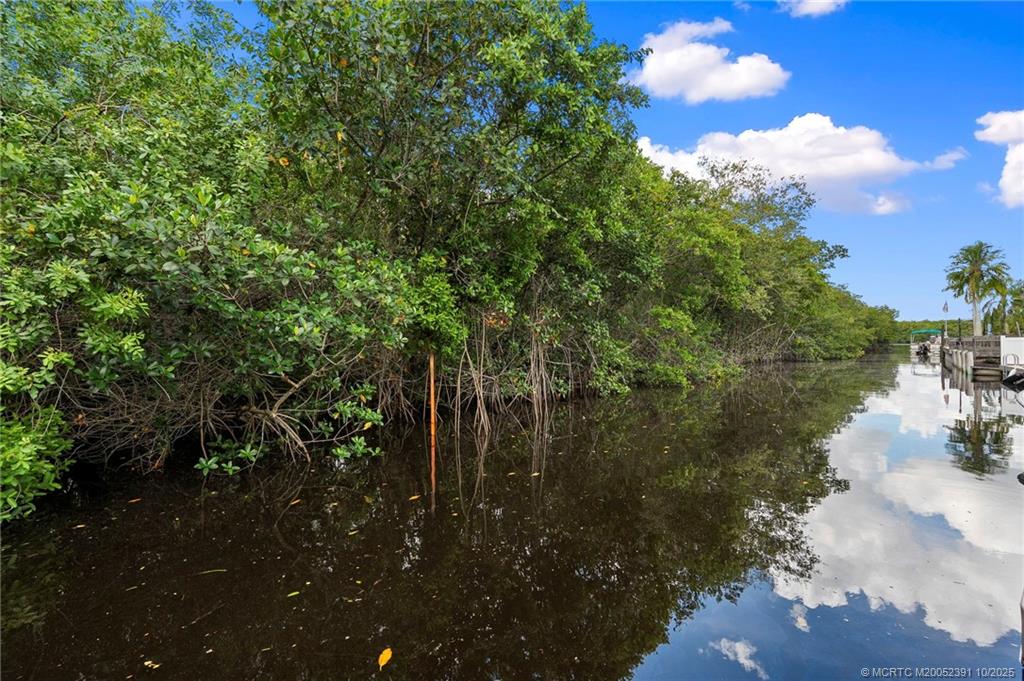 30 Southwest Hideaway Place Stuart, FL 34994 - Photo 30 of 45 a close up of a tree in a garden