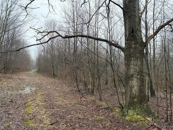$79,900 | Bliss Road, Mayville, NY 14757