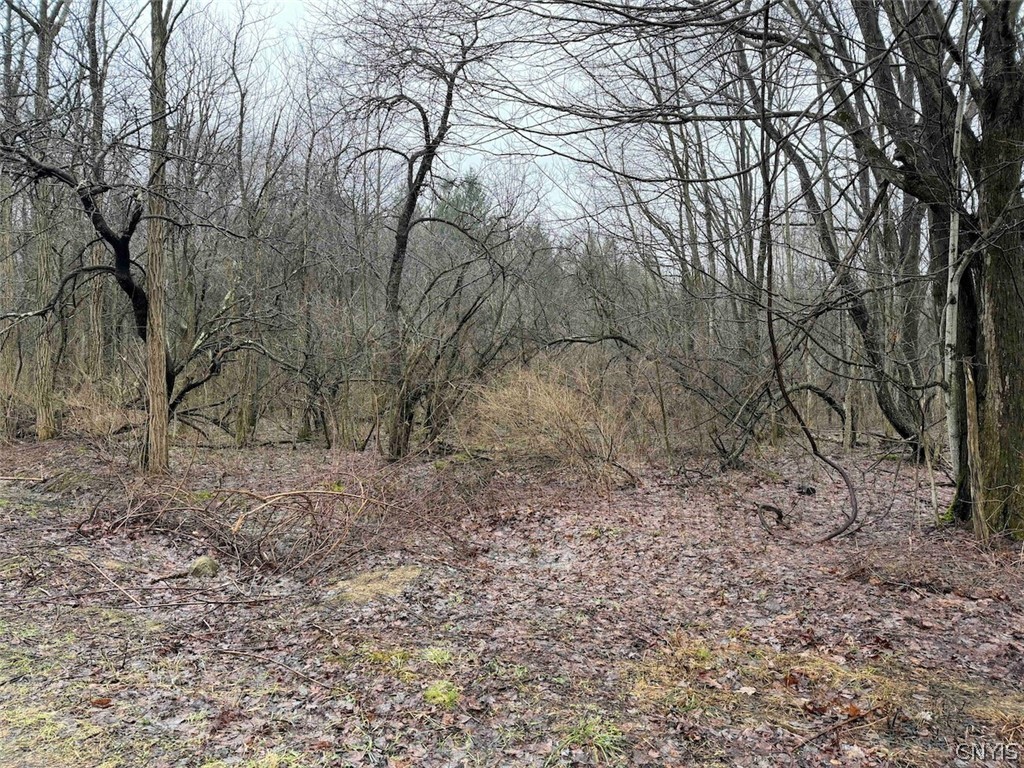 Bliss Road Mayville, NY 14757 - Photo 12 of 36