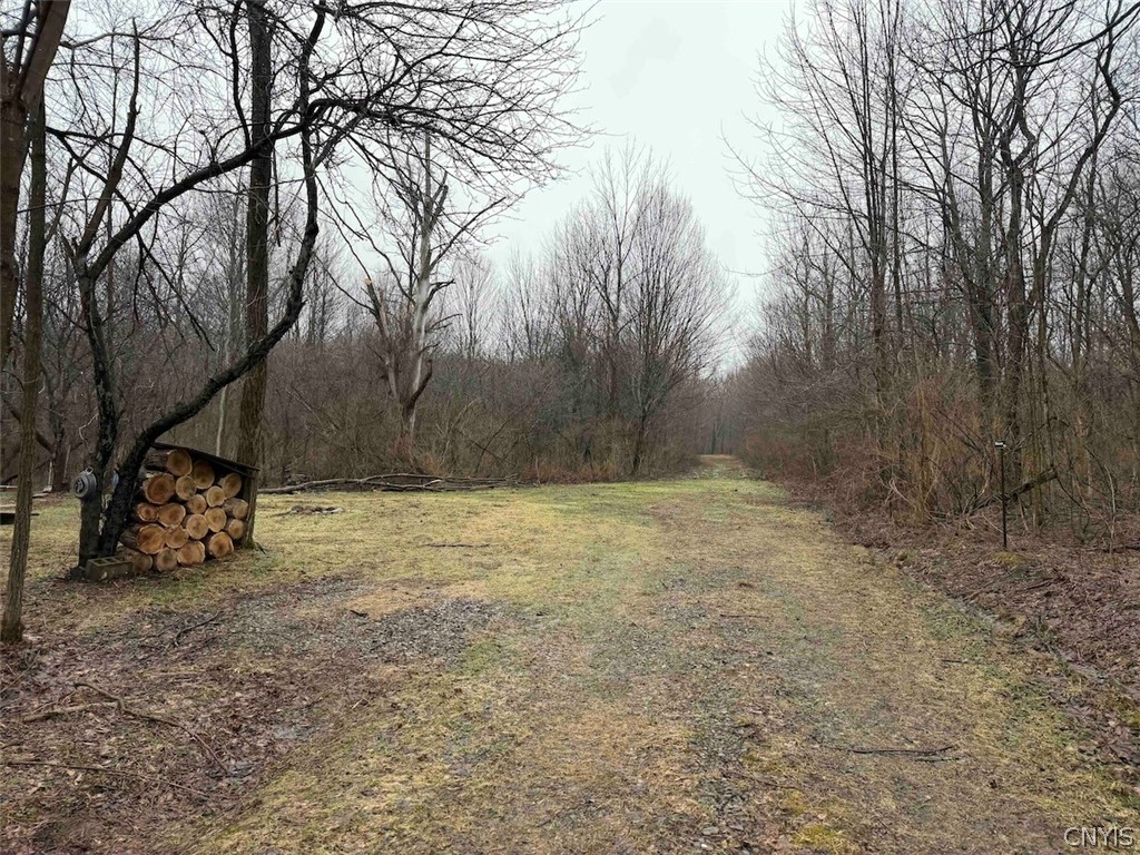 Bliss Road Mayville, NY 14757 - Photo 13 of 36