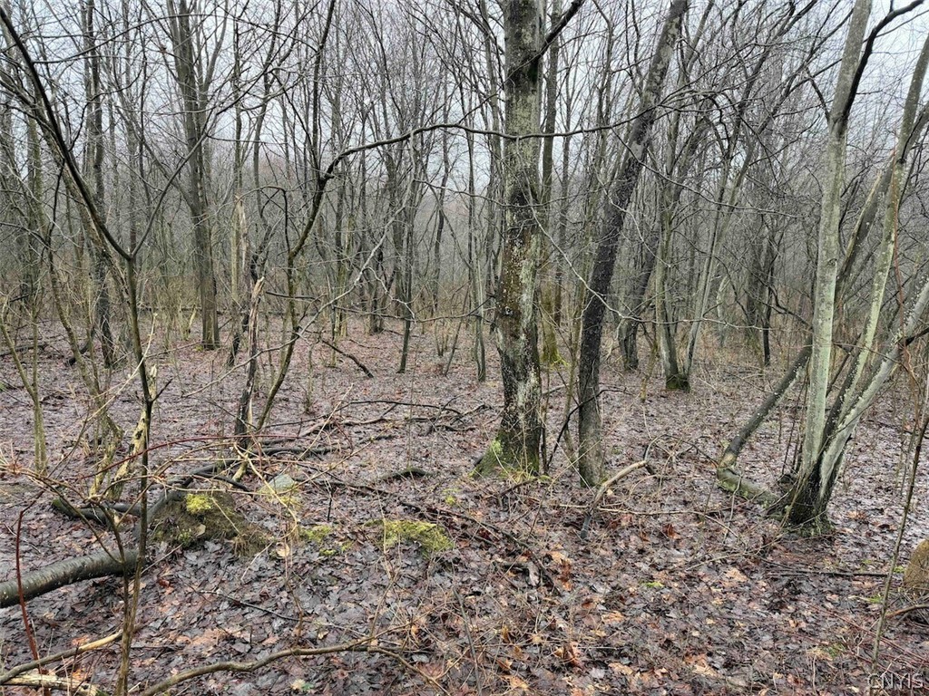 Bliss Road Mayville, NY 14757 - Photo 14 of 36