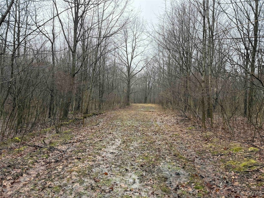 Bliss Road Mayville, NY 14757 - Photo 16 of 36