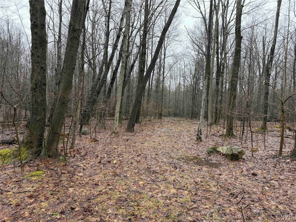 Bliss Road Mayville, NY 14757 - Photo 20 of 36
