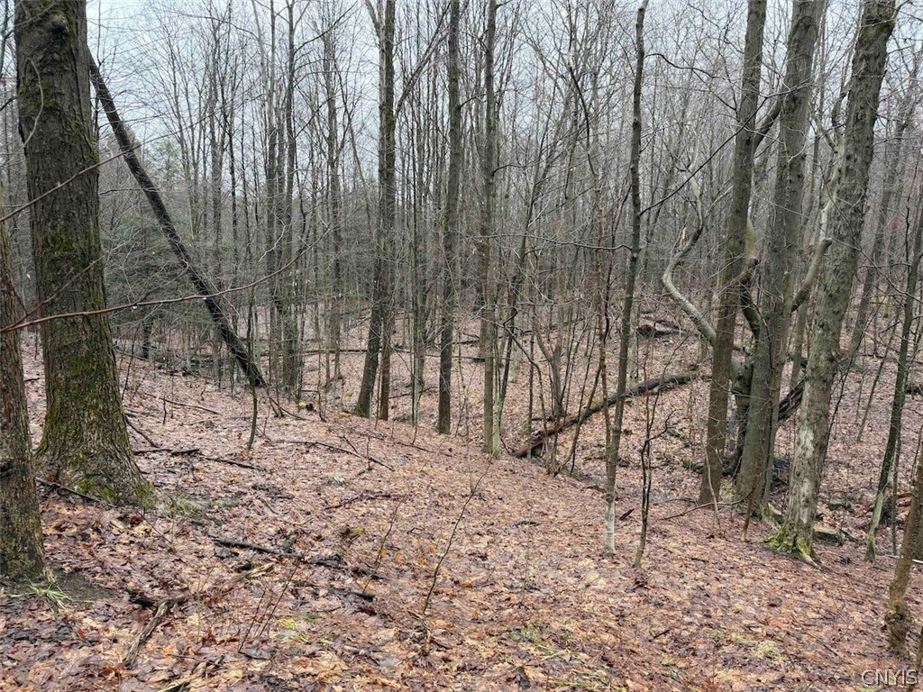 Bliss Road Mayville, NY 14757 - Photo 22 of 36