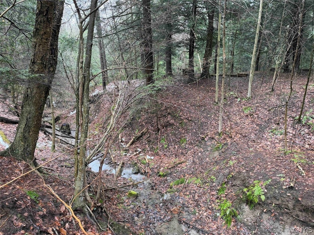 Bliss Road Mayville, NY 14757 - Photo 28 of 36