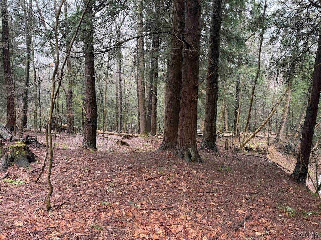 Bliss Road Mayville, NY 14757 - Photo 29 of 36