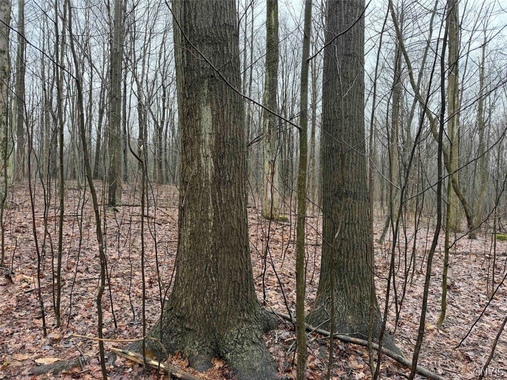 Bliss Road Mayville, NY 14757 - Photo 30 of 36