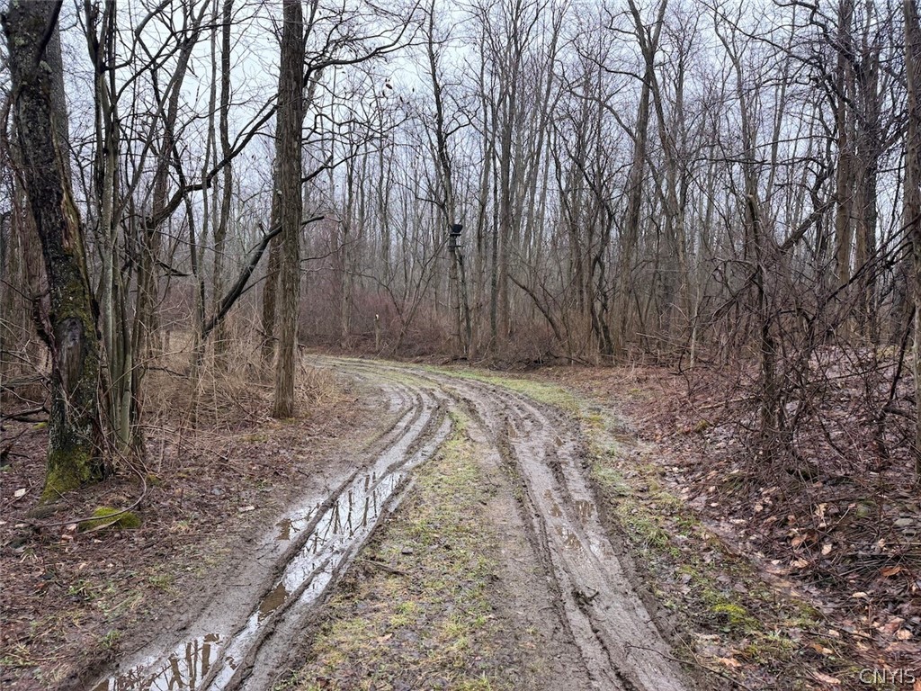 Bliss Road Mayville, NY 14757 - Photo 3 of 36