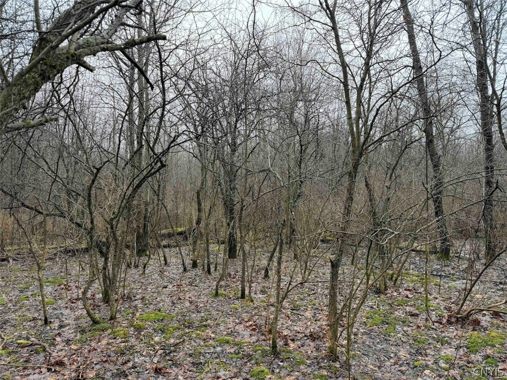 Bliss Road Mayville, NY 14757 - Photo 33 of 36