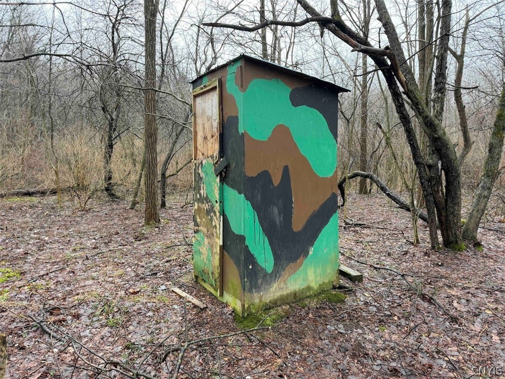 Bliss Road Mayville, NY 14757 - Photo 34 of 36