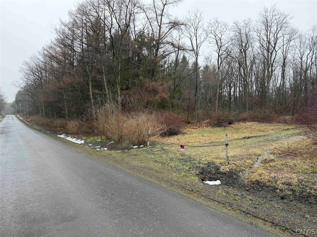 Bliss Road Mayville, NY 14757 - Photo 35 of 36