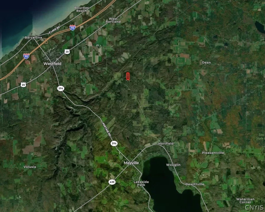 Bliss Road Mayville, NY 14757 - Photo 36 of 36