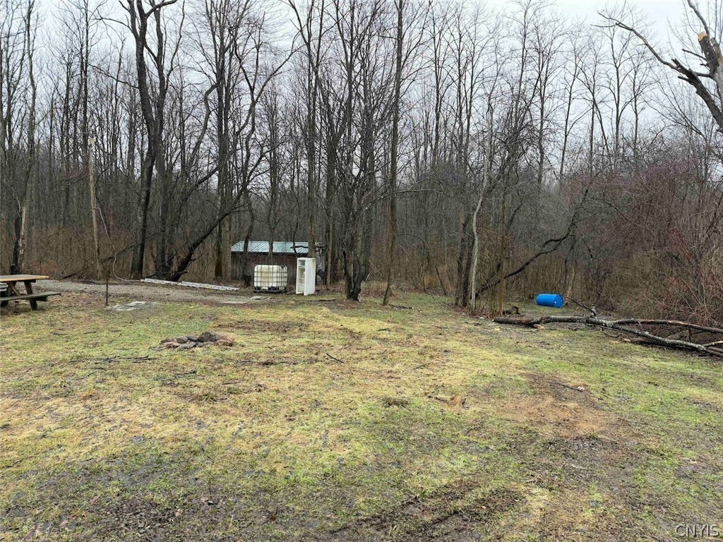 Bliss Road Mayville, NY 14757 - Photo 6 of 36