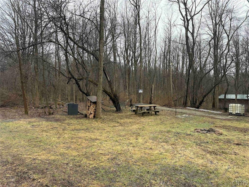 Bliss Road Mayville, NY 14757 - Photo 7 of 36