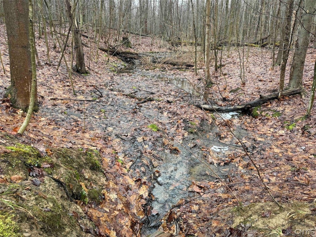 Bliss Road Mayville, NY 14757 - Photo 8 of 36