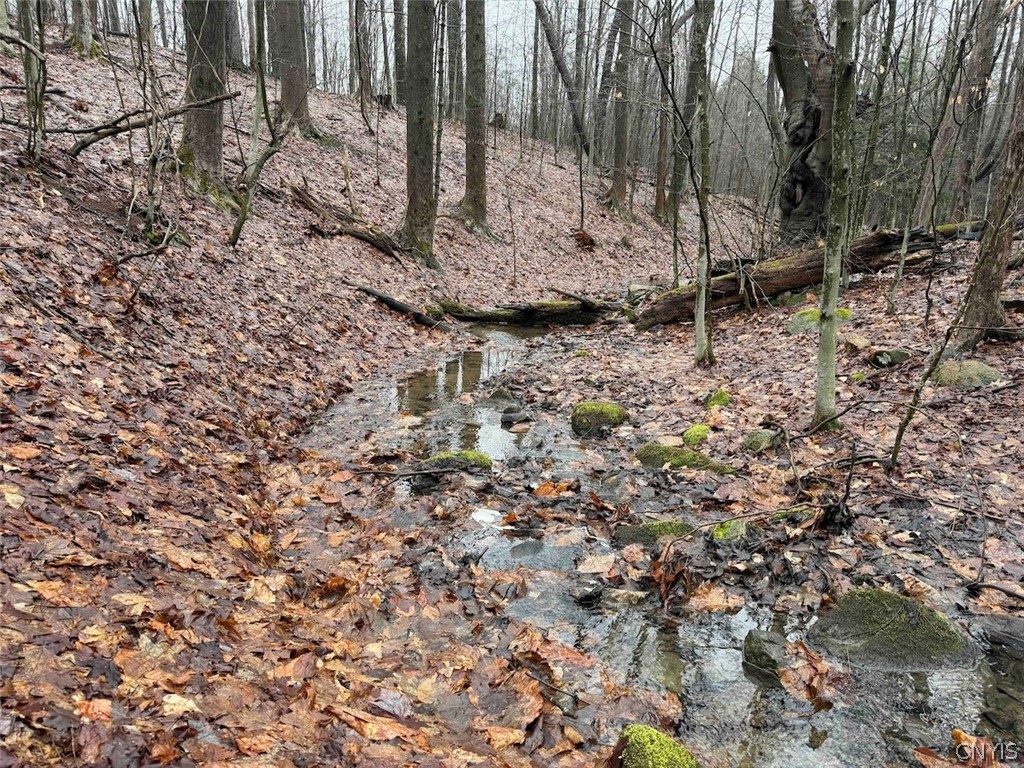 Bliss Road Mayville, NY 14757 - Photo 9 of 36