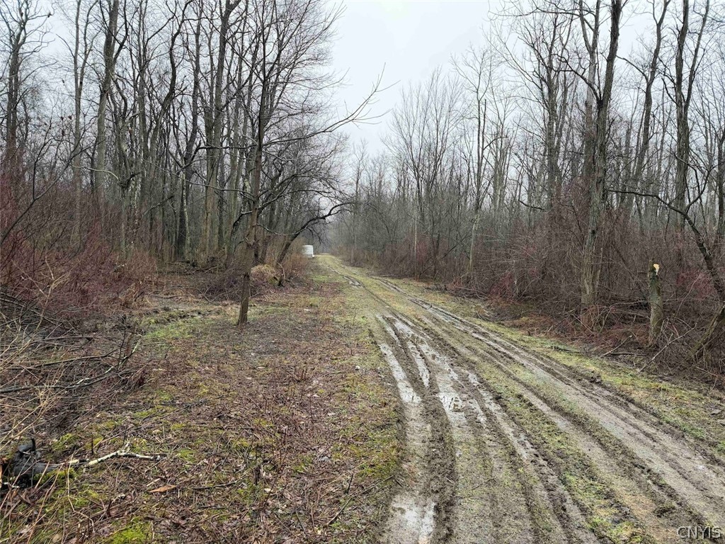 Bliss Road Mayville, NY 14757 - Photo 10 of 36