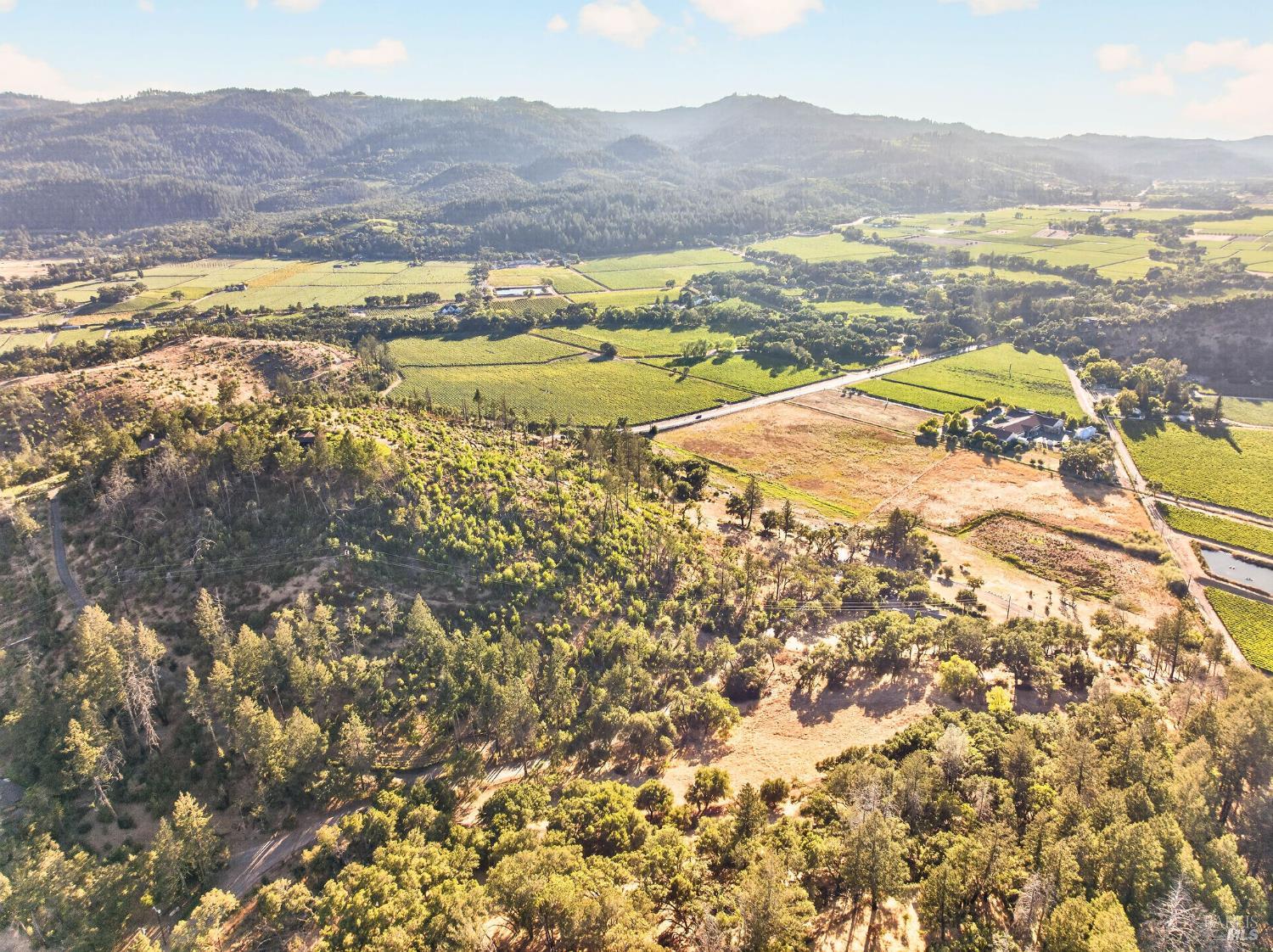 318 Crystal Springs Road St. Helena, CA 94574 - Photo 8 of 24 Gallery Image 8