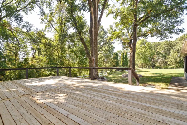 a view of backyard with large trees and wooden fence