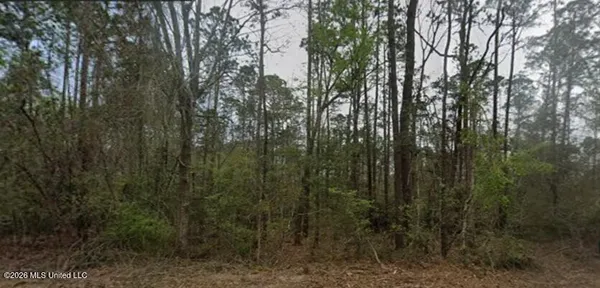 $45,000 | 0 Aila Street, Diamondhead, MS 39525