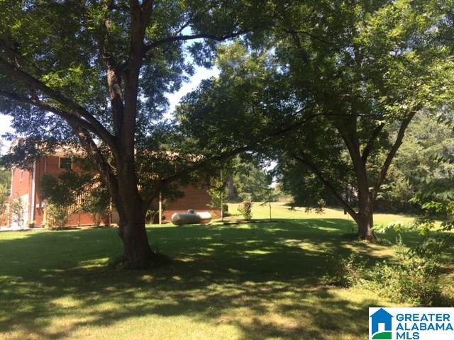 144 Highway 19 Montevallo Al Montevallo, AL 35115 - Photo 9 of 24