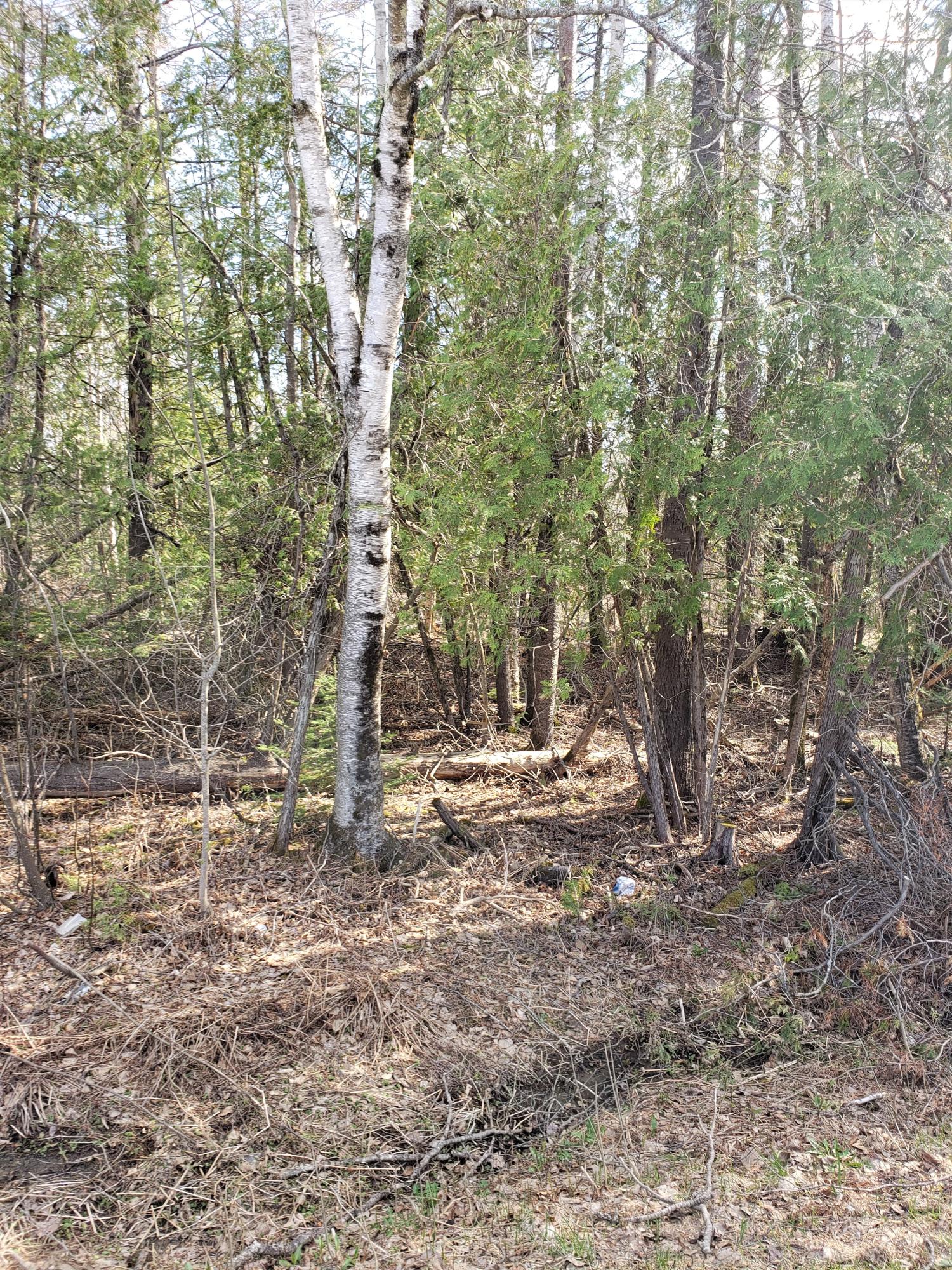 0 County Woods Road Newport, ME 04953 - Photo 11 of 13 12