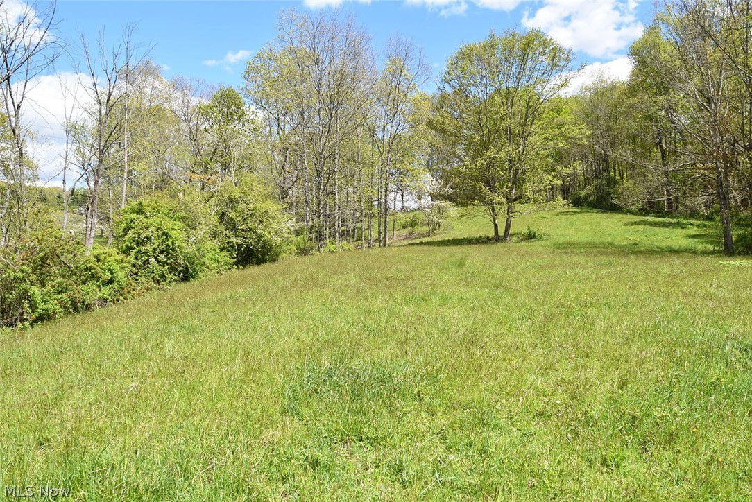 252 Waynesburg Road Northeast Carrollton, OH 44615 - Photo 23 of 35