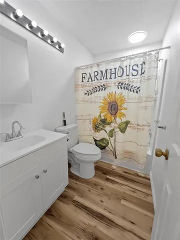 a bathroom with a sink mirror vanity and toilet